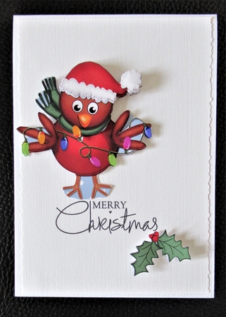 Xmas Robin's Xmas Lights 3D Decoupage Step by Step Designs by Davina Rundle