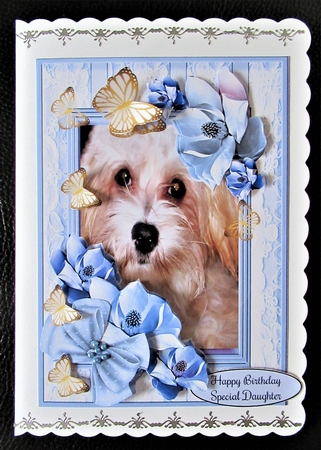 My Favourite Little White Dog by Davina Rundle