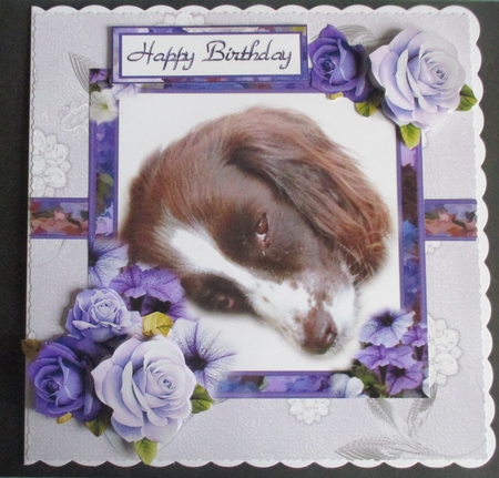 Purple Spaniel by Davina Rundle