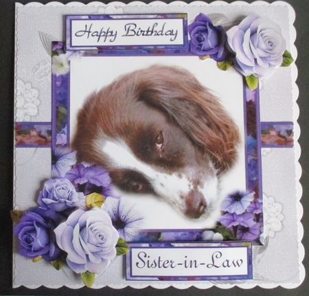 Purple Spaniel by Davina Rundle