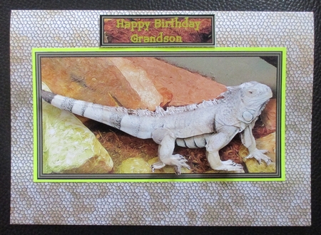 Iguana 3D Decoupage by Davina Rundle