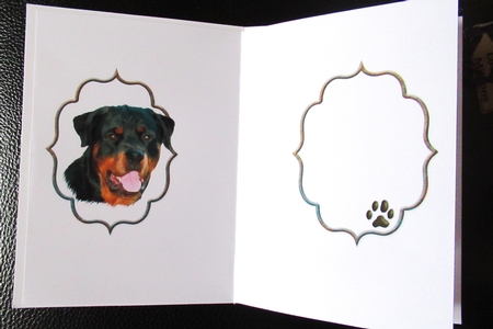 Rottweiler Doggy Birthday Wishes Insert by Davina Rundle