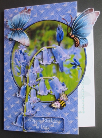 Bluebell Spring by Davina Rundle