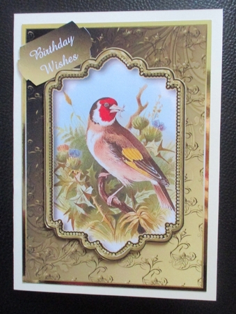 Gorgeous Goldfinch with Plaque by Davina Rundle