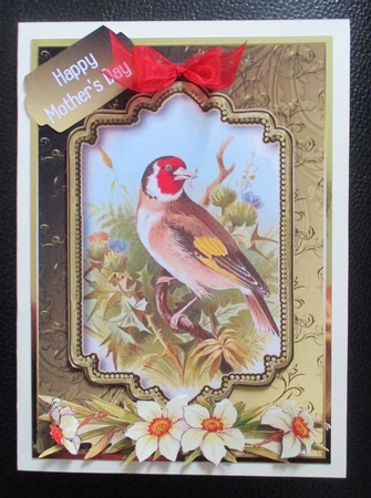 Gorgeous Goldfinch with Plaque by Davina Rundle
