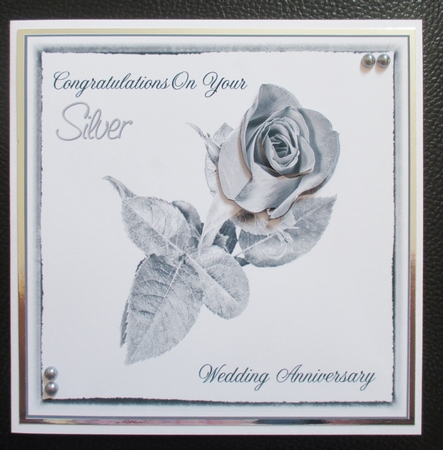 Silver Wedding Anniversary Rose by Davina Rundle