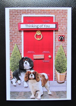 Cavalier King Charles Spaniel with a Red Door by Davina Rundle