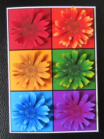 Pop Art Flowers by Davina Rundle