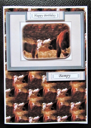 Hereford Cow & Calf Topper Sheet with Background by Davina Rundle