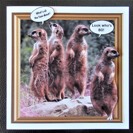 Meerkats Out of the Frame by Davina Rundle