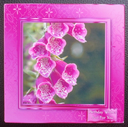Birthday / Mother's Day Foxglove Quick Card by Davina Rundle