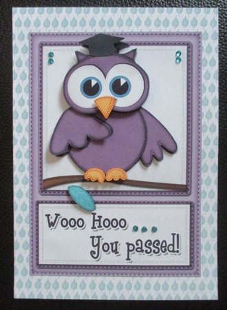 A5 Wise Owl Exam Congrats Felties Quick Card 3D Decoupage by Davina Rundle