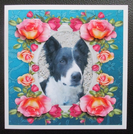 8 x 8 Welsh Collie Dog & Roses Card Topper & Decoupage by Davina Rundle