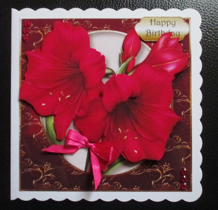Amaryllis by Davina Rundle