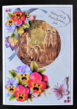 Natures Way Meerkats by Davina Rundle