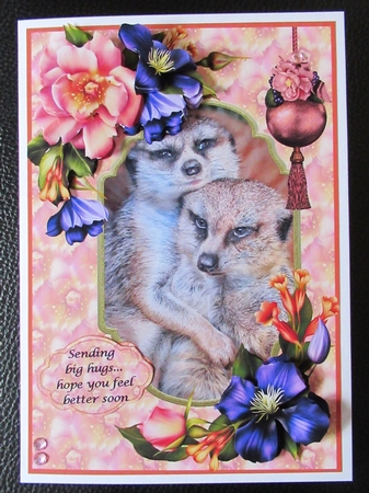 Meerkats and Roses by Davina Rundle
