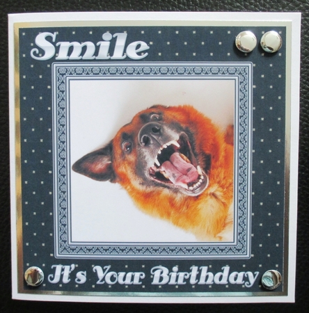 Smile by Davina Rundle