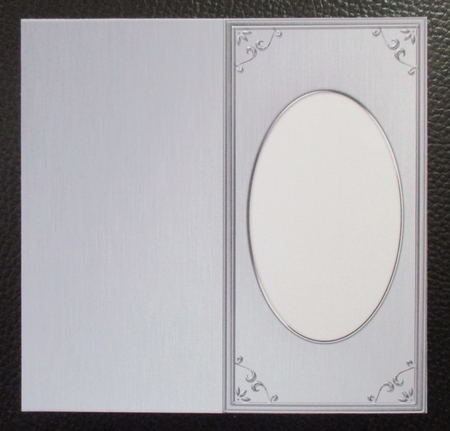 Dl 'metallic Frame Embossed' Card Front or Insert by Davina Rundle