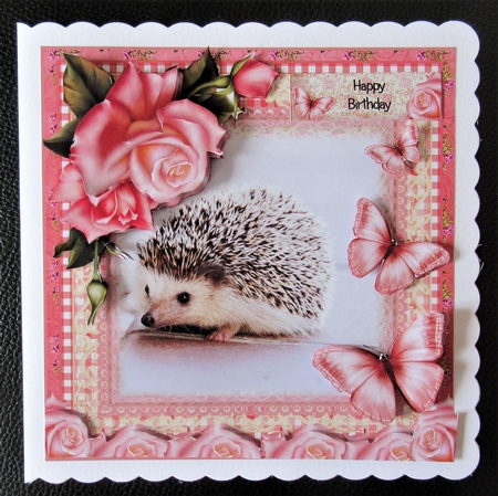 The Hedgehog Card Front Kit by Davina Rundle