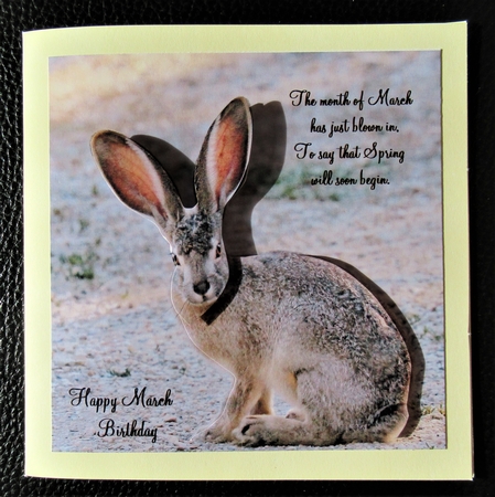 Spring Time - Eostra Easter - March Hare + Insert & Tag by Davina Rundle