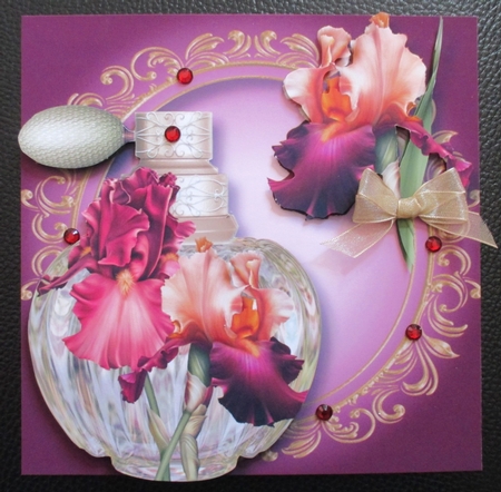 The Scent of the Bearded Iris by Davina Rundle