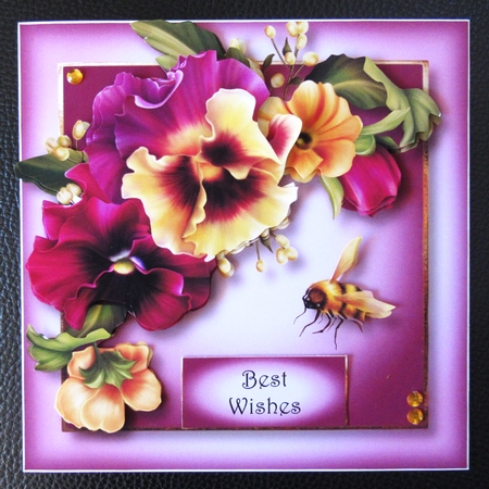 Gorgeous Pansies & Bee by Davina Rundle