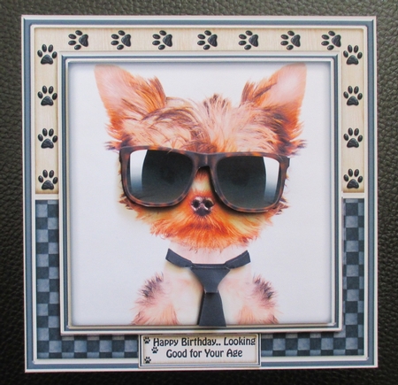 No Bones About It You Are Pawsome by Davina Rundle