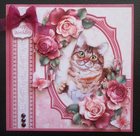 Tabby Cat & Roses 8x8 Decoupage Mini Kit by Davina Rundle