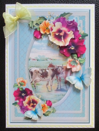 Cows and Pansies Featured Gallery Photo