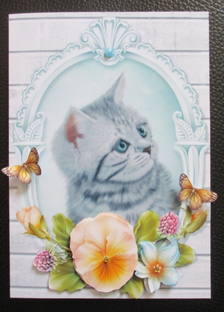 Cute Grey Cat with Yellow Pansy's by Davina Rundle