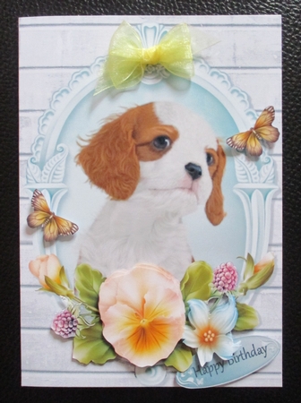 Cute Cavalier with Yellow Pansy's by Davina Rundle