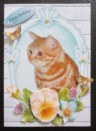 Cute Ginger Cat with Yellow Pansys by Davina Rundle