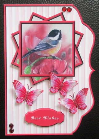 Beautiful Bird (2) by Davina Rundle