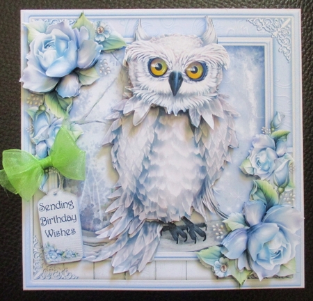 Moonlit Owl by Davina Rundle
