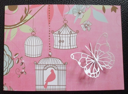 Birdcage Pink 7x5inch Landscape Card & Envelope Mini Kit by Davina Rundle
