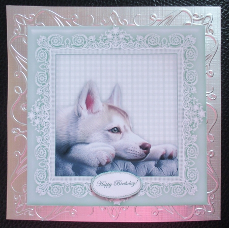 Handsome Husky - 8 x 8 Card Topper by Davina Rundle