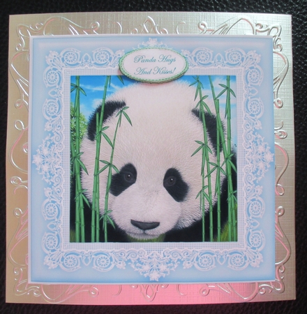 Panda Perfect - 8 x 8 Card Topper by Davina Rundle
