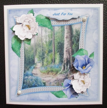 Beautiful flowers in a Sparkle Frame  by Davina Rundle