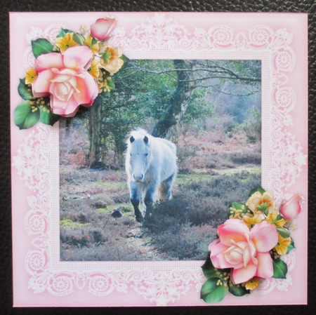 New Forest Pony 8 x 8 Floral Decoupage Card Topper by Davina Rundle