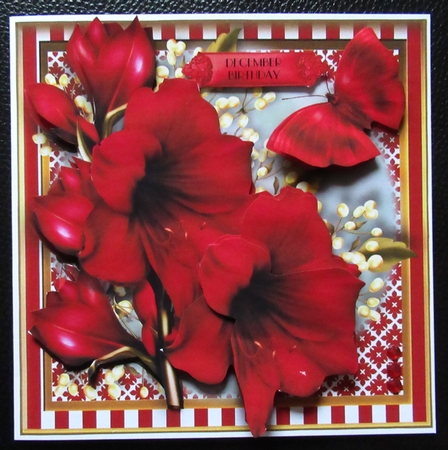 The Beautiful Amaryllis Card Front Kit by Davina Rundle