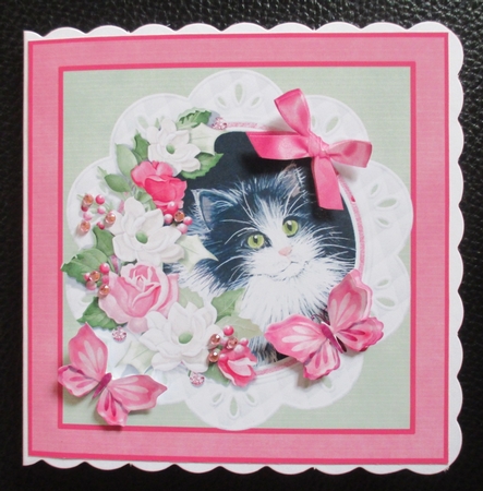 Black and White Kitten with floral frame and butterflies by Davina Rundle