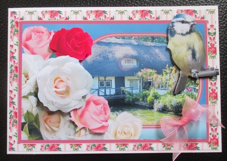 Cottage With Roses & Bluetit by Davina Rundle