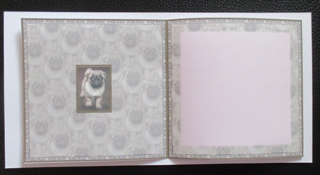 Pugs Rule Insert by Davina Rundle