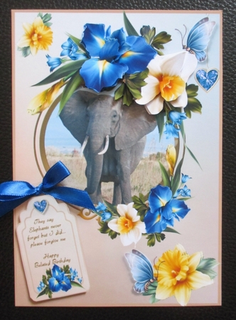 Floral Elephant by Davina Rundle