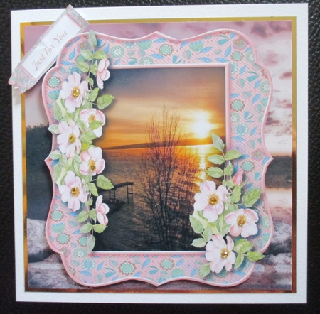 Beautiful Sunset and Blossom  by Davina Rundle