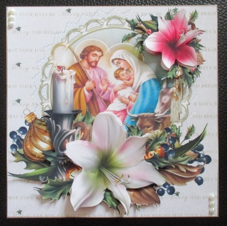 8x8 festive amaryllis with nativity scene mini kit by Davina Rundle