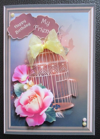 The Open Birdcage by Davina Rundle