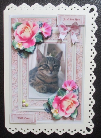 Sweet Kitten & Summer Roses by Davina Rundle