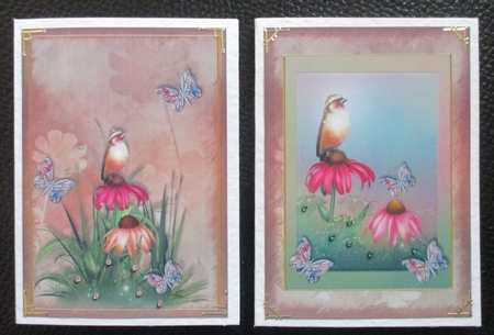 Birds, Flowers & Butterflies by Davina Rundle