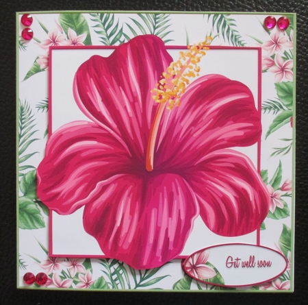 Card Topper Hibiscus 101 by Davina Rundle